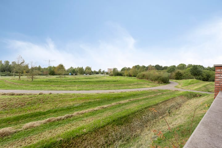 Foto 7 van Daliënwaerd 41