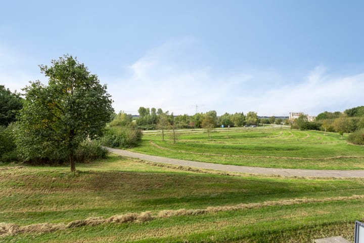 Foto 46 van Daliënwaerd 41