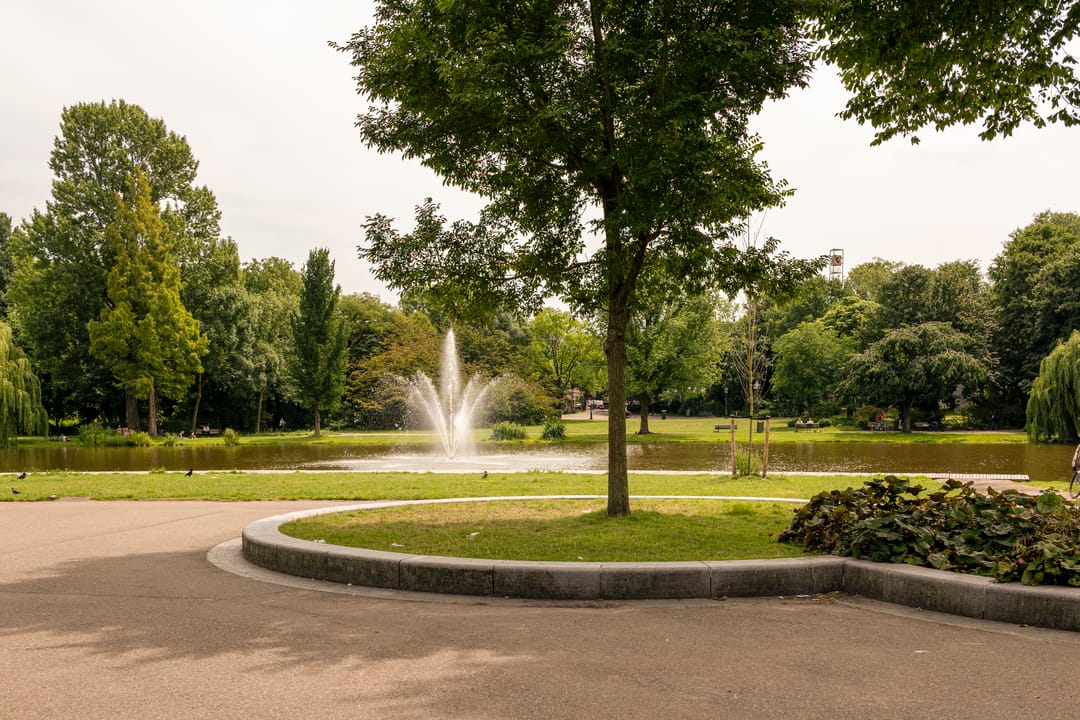 Foto 37 van Ruyschstraat 70-3