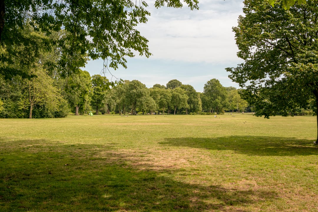 Foto 38 van Ruyschstraat 70-3