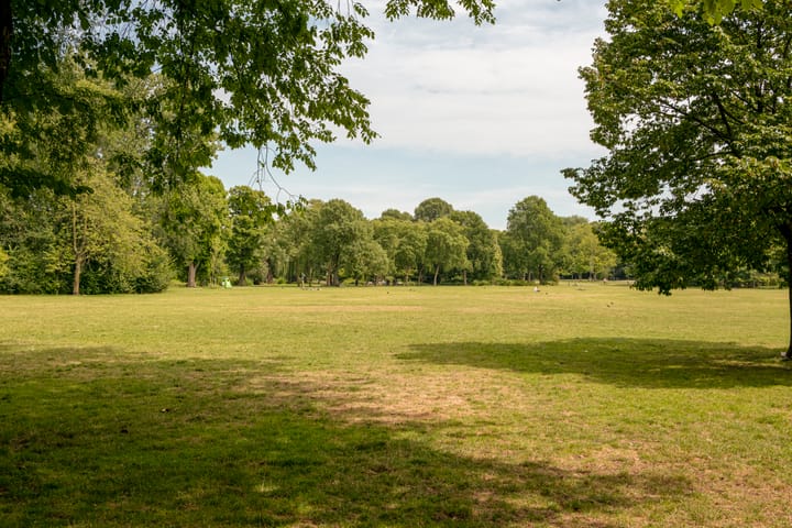 Foto 38 van Ruyschstraat 70-3