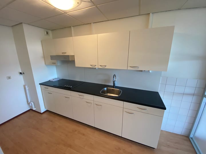 Photo 4 of Tamarixplantsoen 115