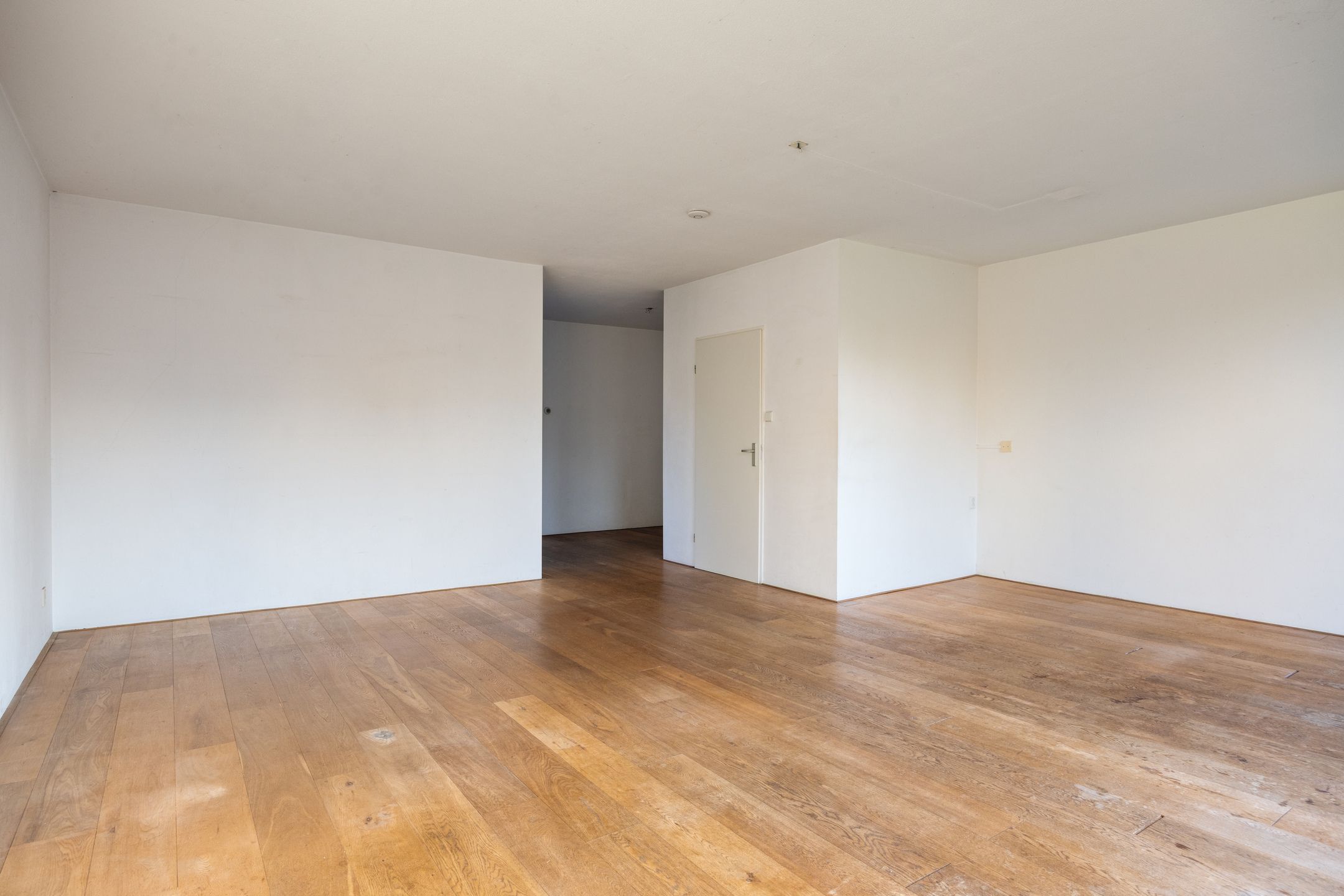 Photo 6 of Klein Brabant 41