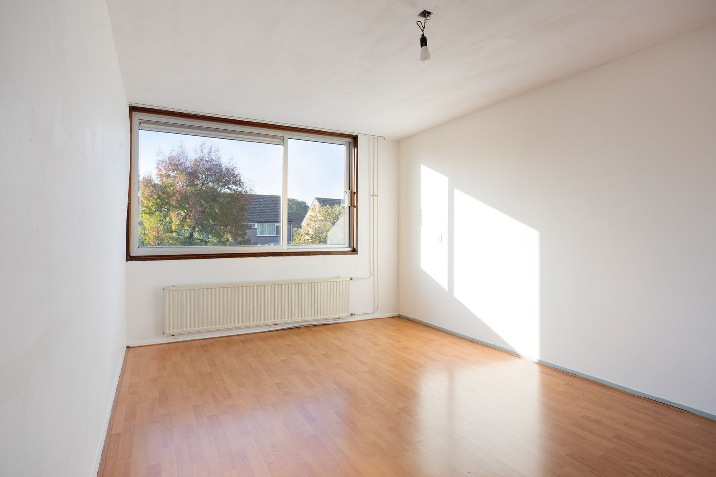 Photo 14 of Klein Brabant 41