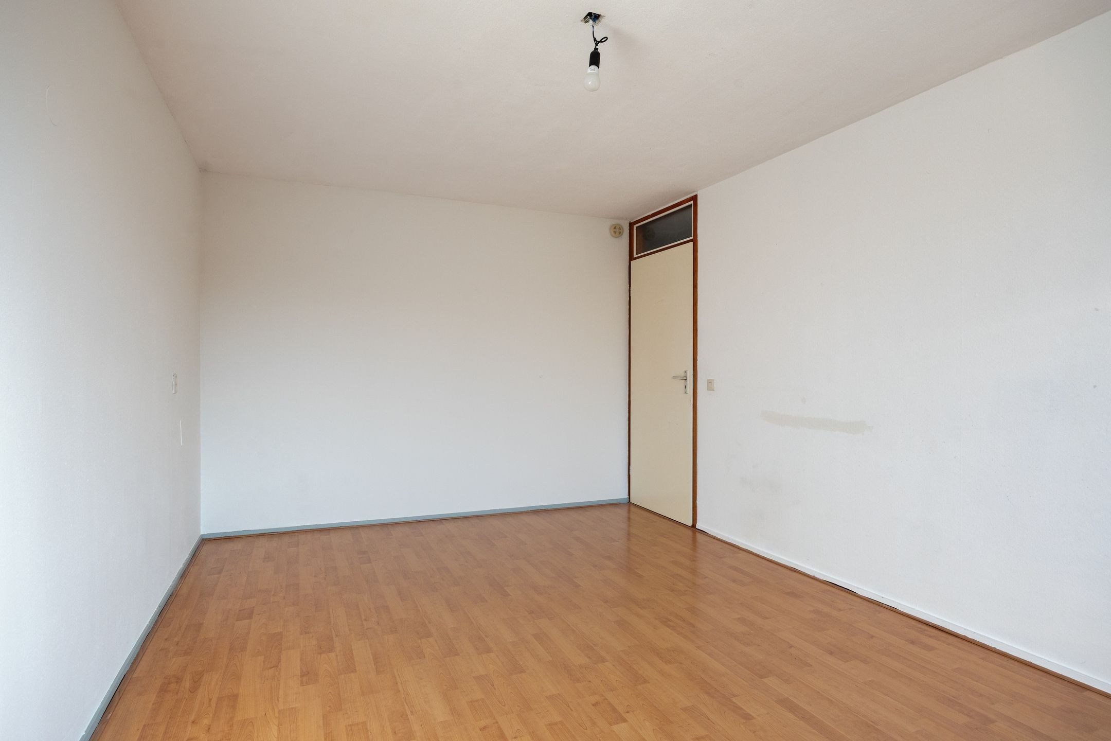 Photo 15 of Klein Brabant 41