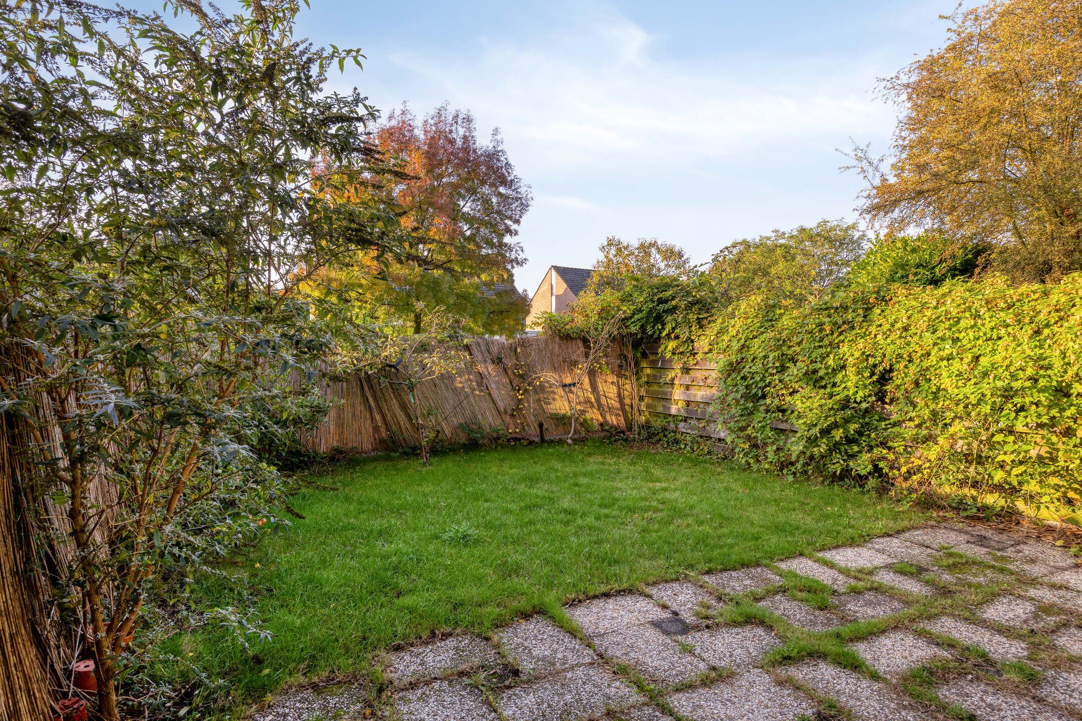 Photo 24 of Klein Brabant 41