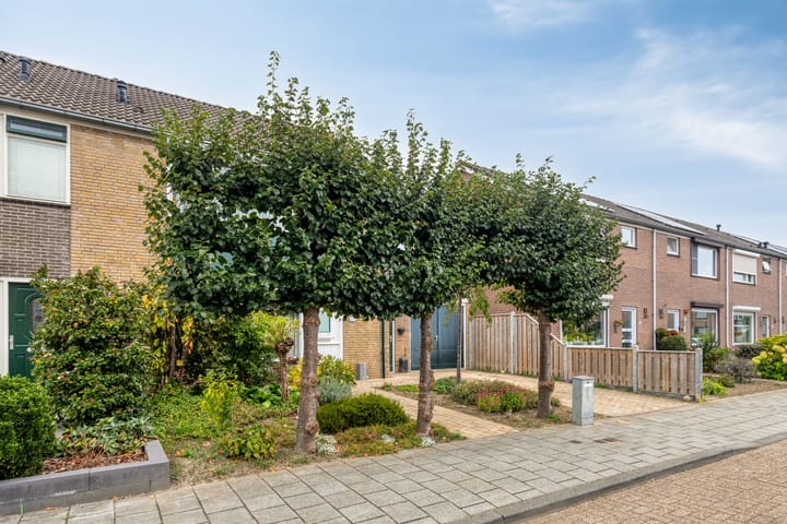 Photo 26 of van Heetveldestraat 20