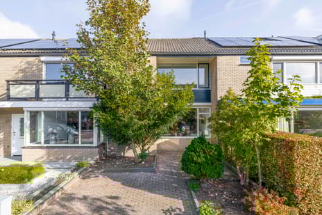 undefined main image