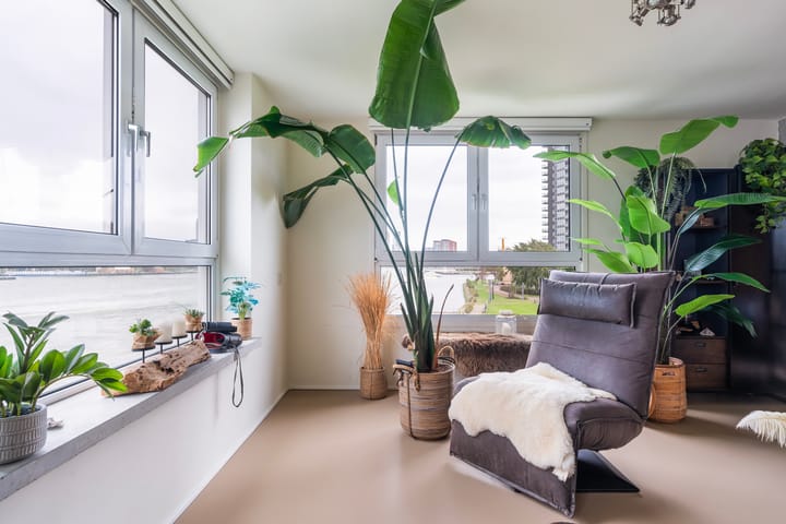 Foto 8 van Sint-Janshaven 517