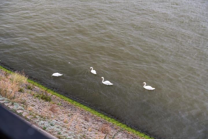 Foto 37 van Sint-Janshaven 517