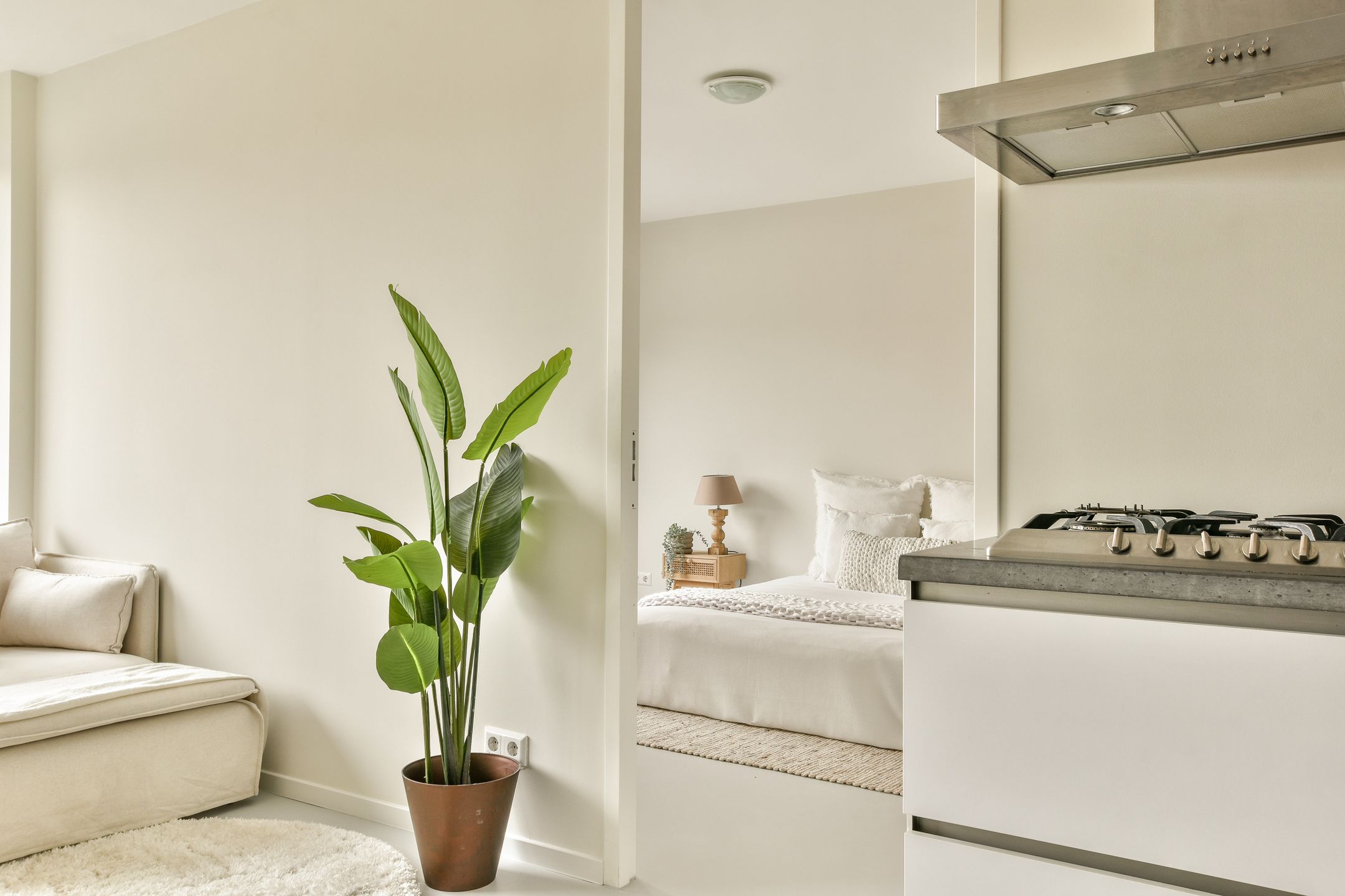 Photo 9 of Nieuwpoortstraat 86-A9