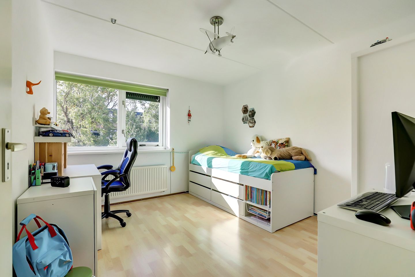 Foto 19 van Paladijnenweg 71