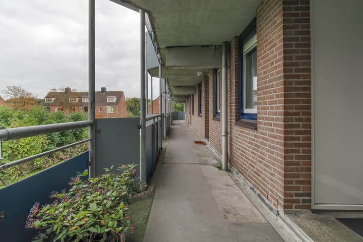 Foto 4 van Korenbloem 38