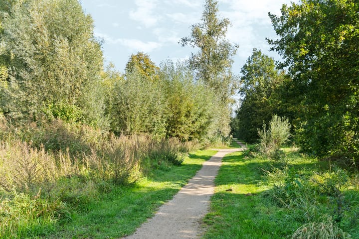 Foto 47 van Woudlaar 32