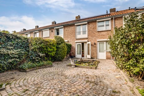 undefined main image