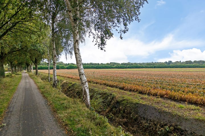 Foto 41 van Virgo 79