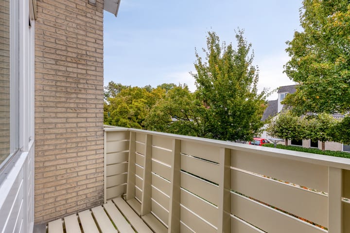 Foto 29 van Rietzoom 14