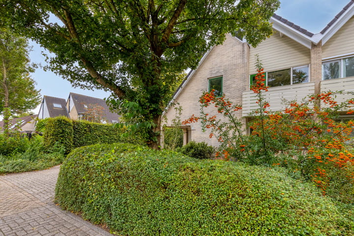 Foto 46 van Rietzoom 14