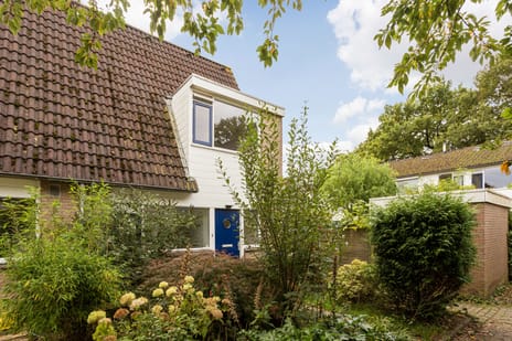 Steven de Witplein 13