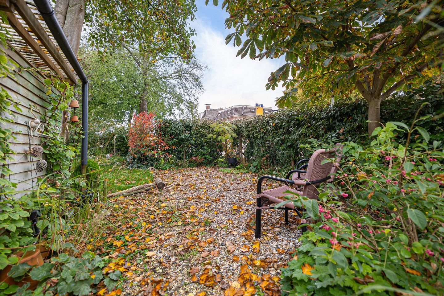 Photo 50 of Greate Pierwei 4