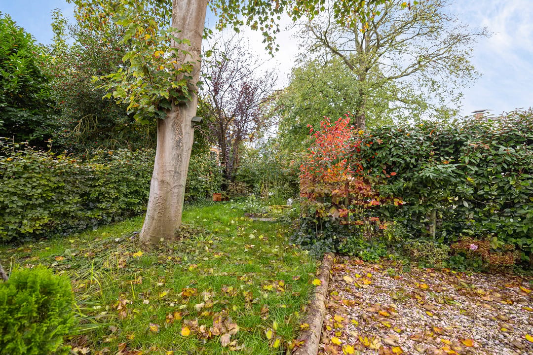 Photo 52 of Greate Pierwei 4