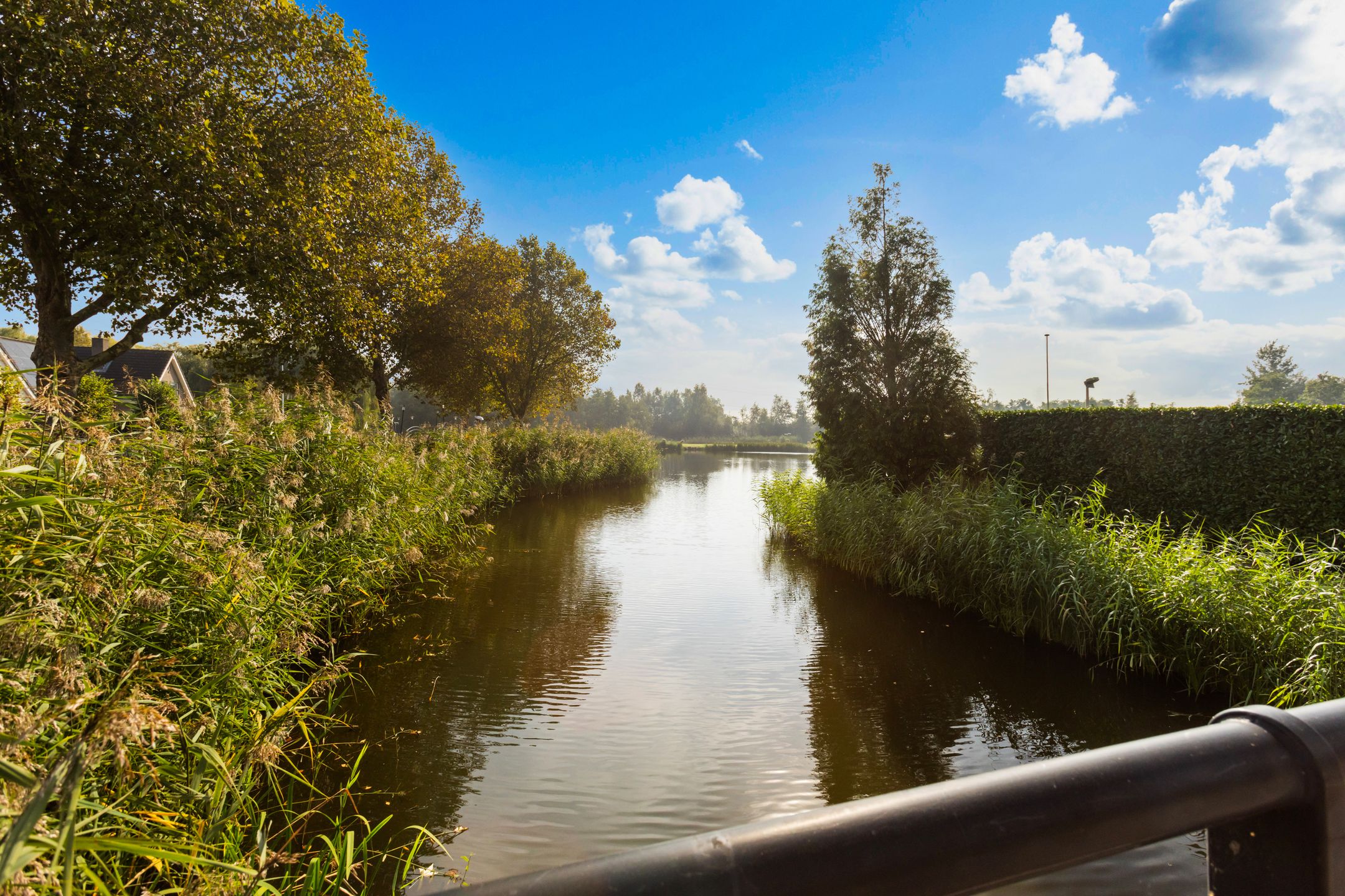 Foto 45 van Hoflaan 75