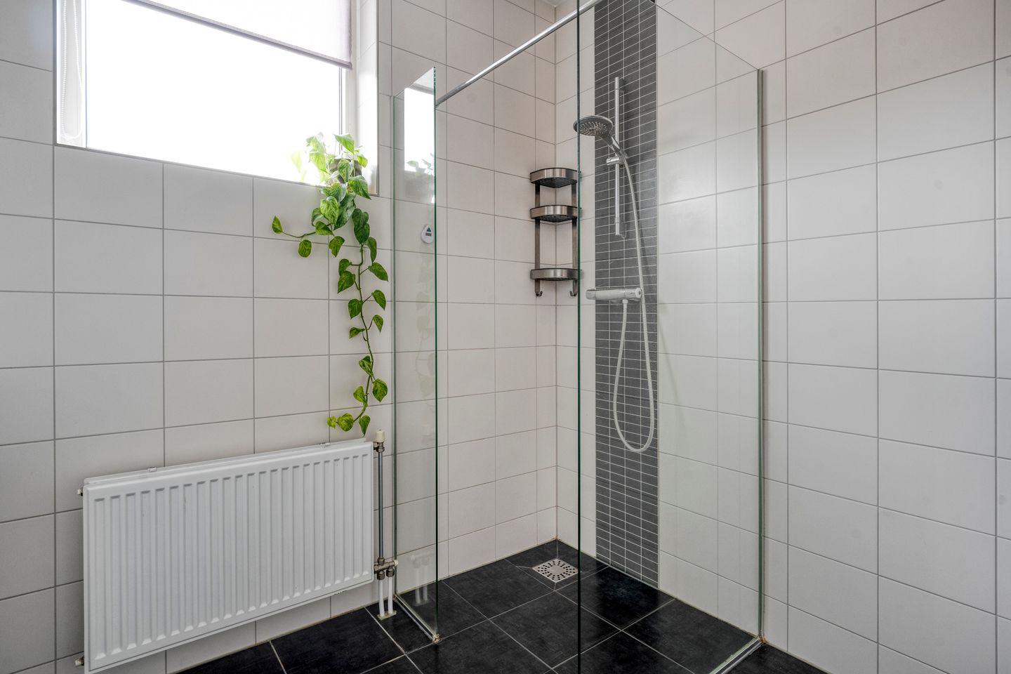 Foto 29 van Rozenstraat 5