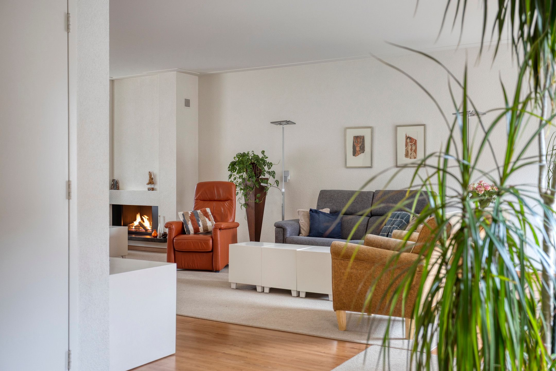 Foto 12 van Schout Lieshoutstraat 13