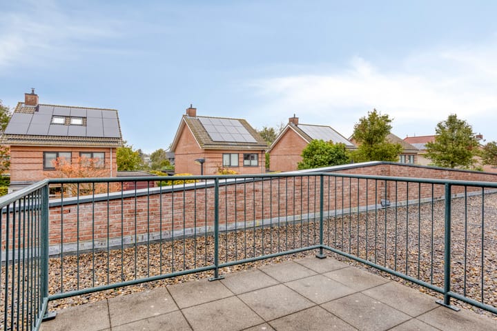 Foto 29 van Schout Lieshoutstraat 13