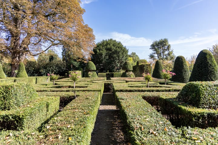 Foto 2 van van Heemstraweg 58