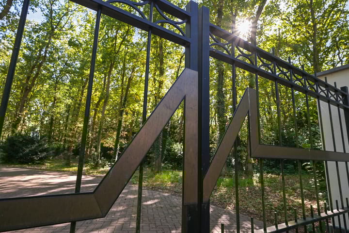 Foto 6 van Raaphorstlaan 19-D