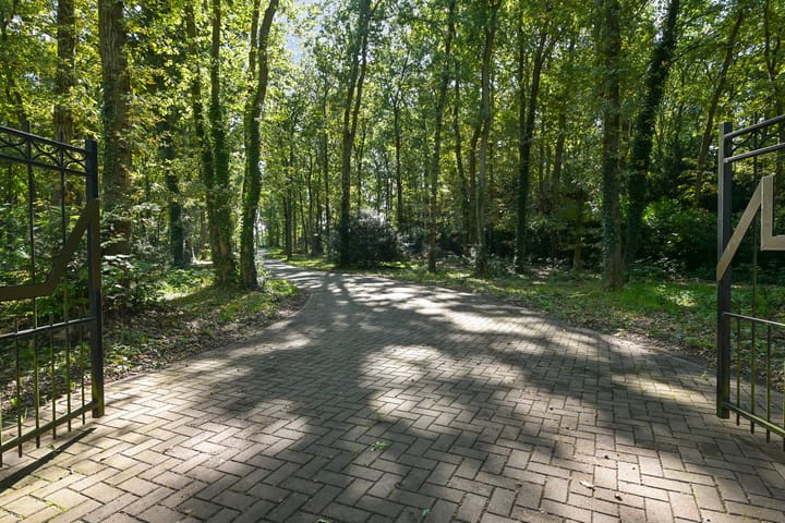 Foto 7 van Raaphorstlaan 19-D