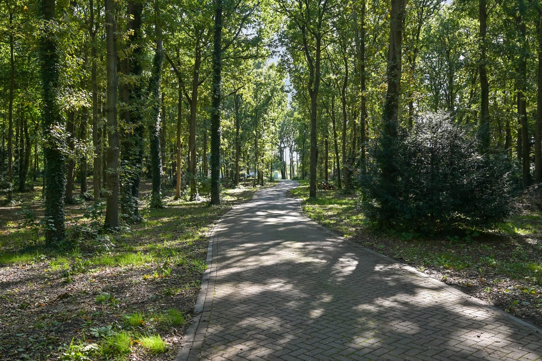 Foto 8 van Raaphorstlaan 19-D