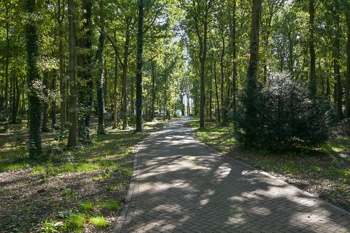 Foto 8 van Raaphorstlaan 19-D