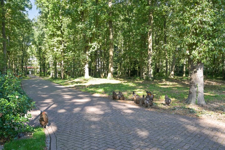 Foto 12 van Raaphorstlaan 19-D