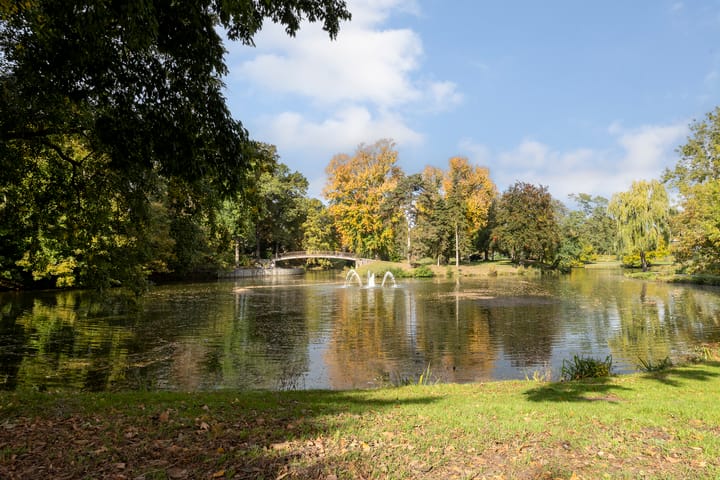 Photo 51 of Bredasestraat 46