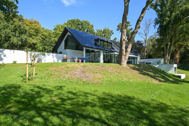 Foto 49 van Raaphorstlaan 19-D