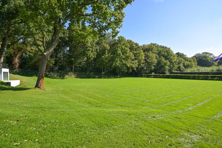 Foto 50 van Raaphorstlaan 19-D