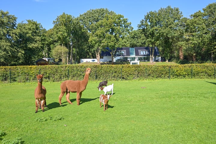 Foto 53 van Raaphorstlaan 19-D