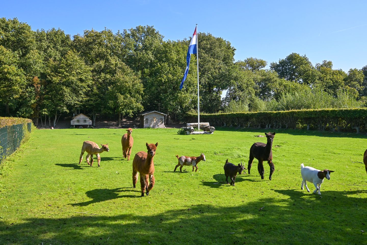 Foto 4 van Raaphorstlaan 19-D