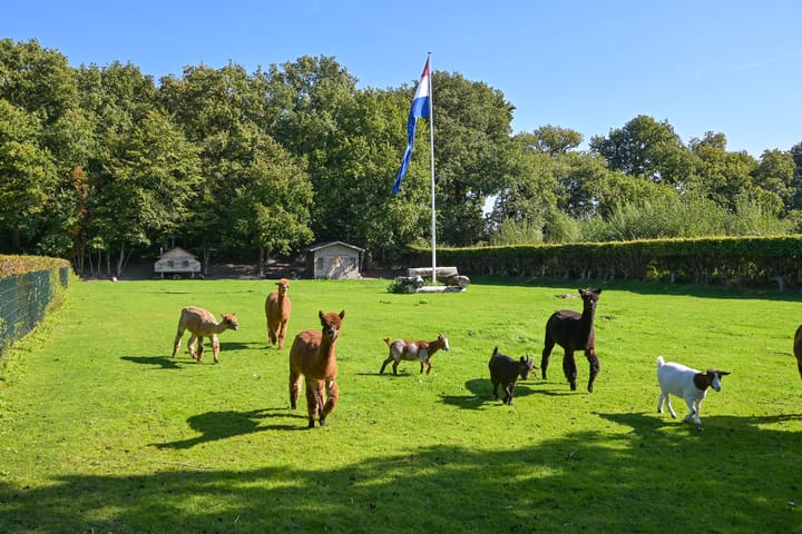 Foto 4 van Raaphorstlaan 19-D