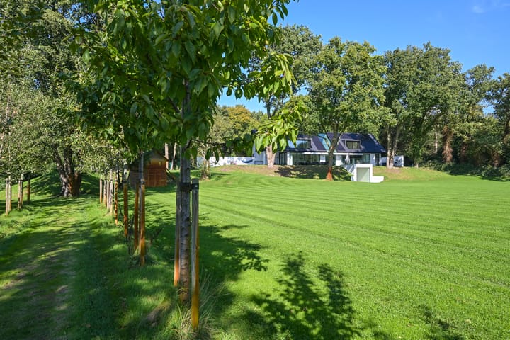 Foto 55 van Raaphorstlaan 19-D