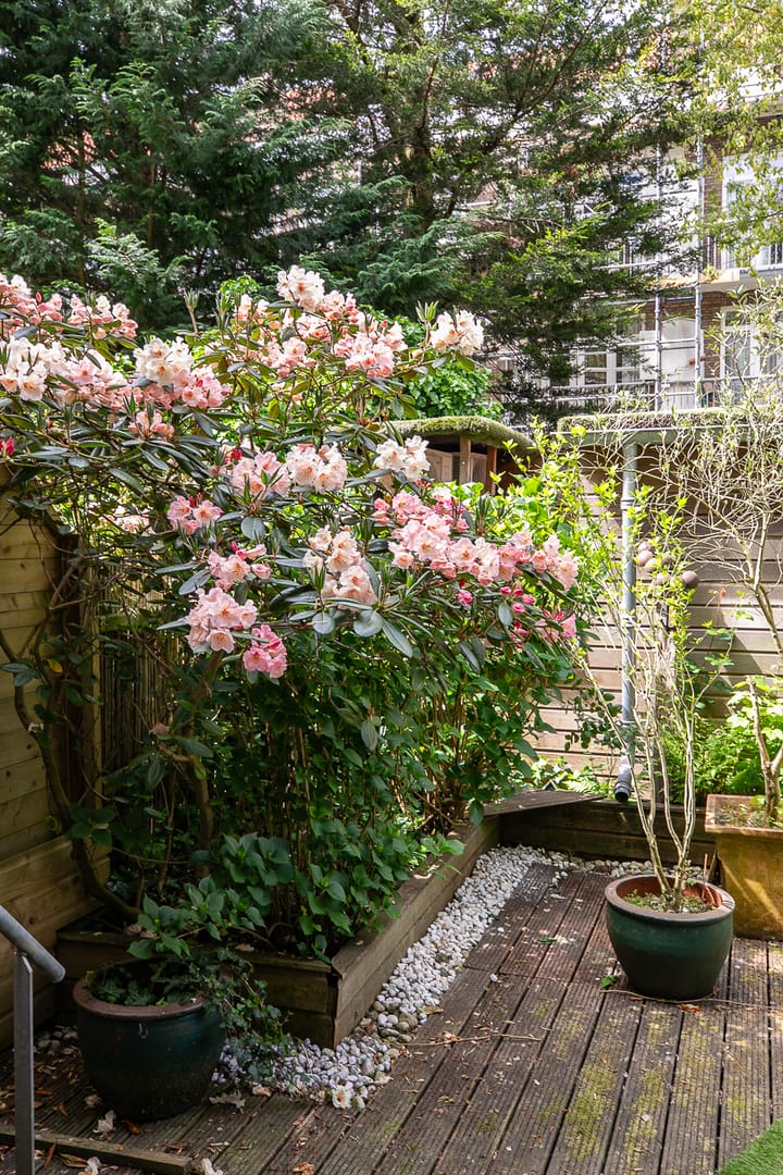 Foto 47 van Jacob Marisstraat 34-H