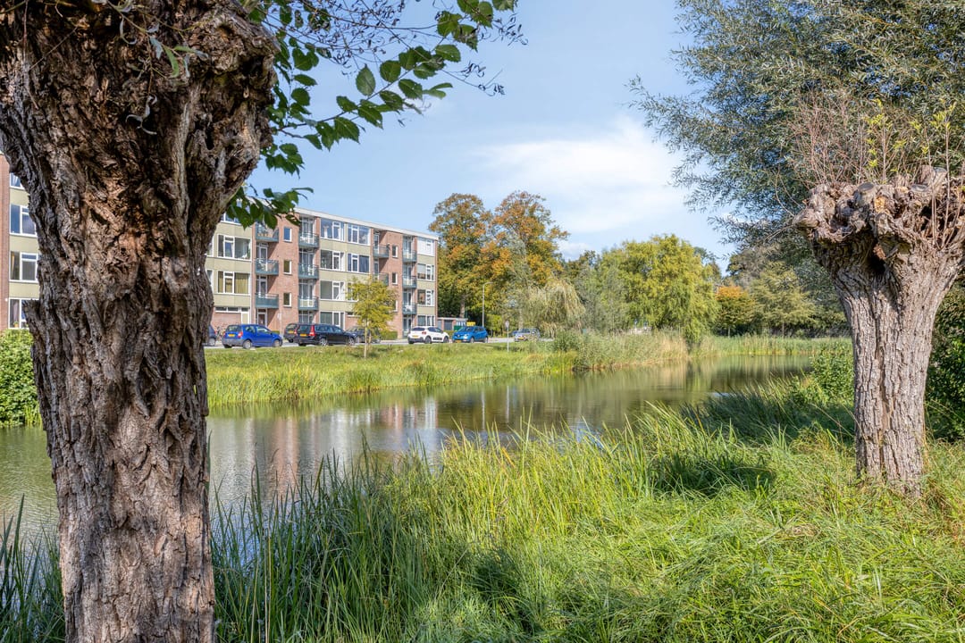 Photo 26 of Deltalaan 214