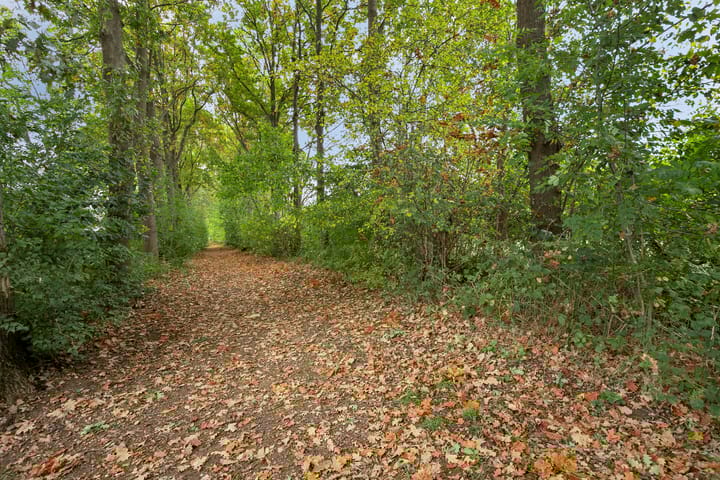 Foto 32 van Jonker Aartendam 9