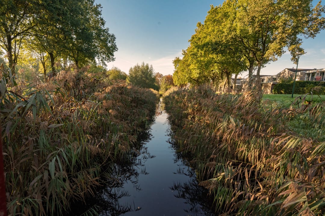 Foto 67 van Floralaan 24