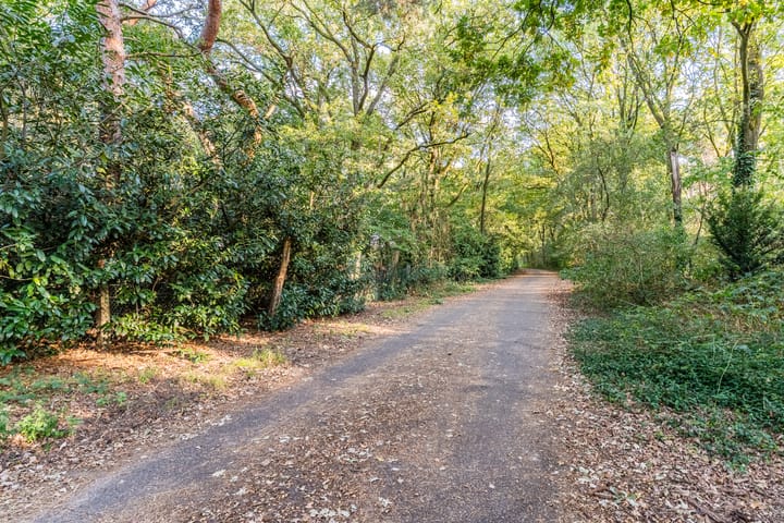 Foto 31 van Vilsterendreef 15