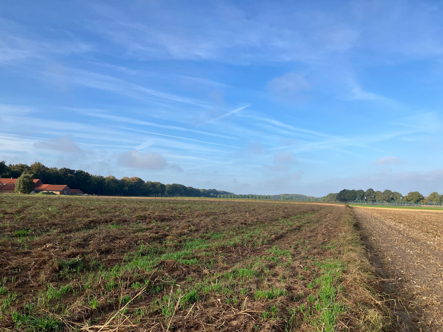 Bekijk foto 3 van Eerselenweg/Heerdstraat