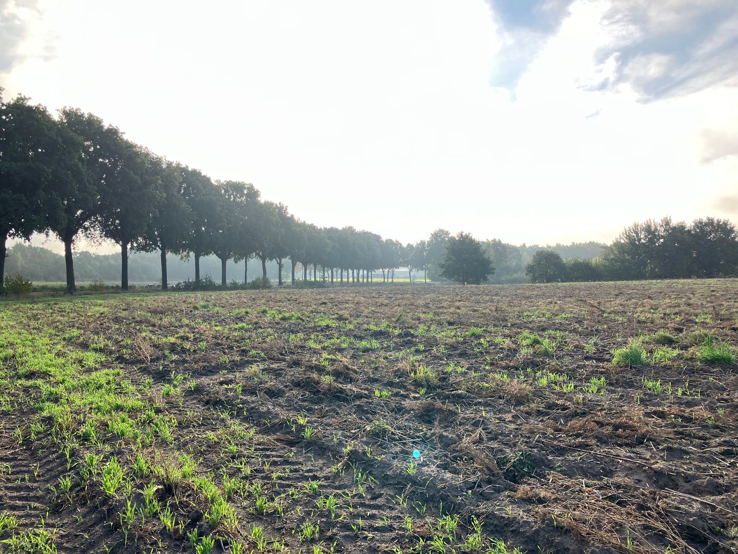 Bekijk foto 2 van Eerselenweg/Heerdstraat