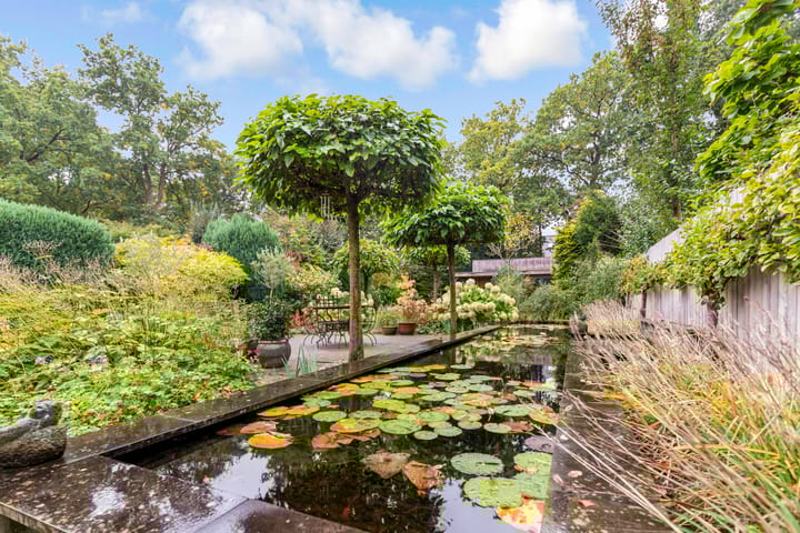 Foto 3 van Bosuillaan 50